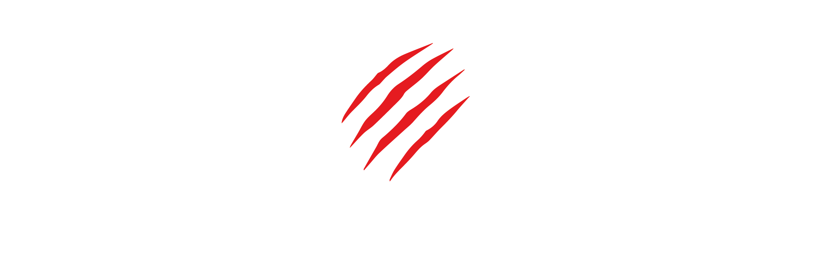 Iron Wolf Shop